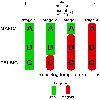 image of Figure 24